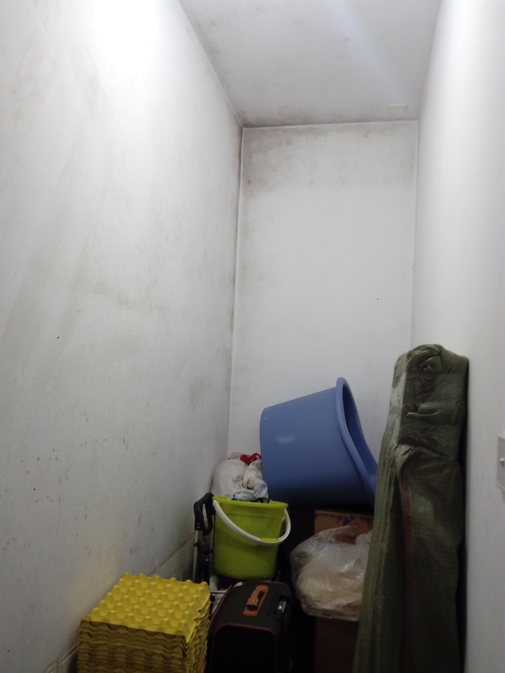 浙江省杭州市上城区杭州市上城区肖苑10幢1单元103室房产房间照片3