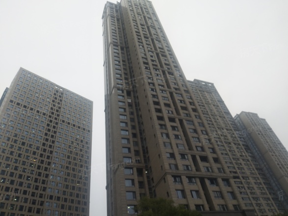 浙江省杭州市滨江区浦沿街道御江苑（现名为钱塘帝景）3幢1单元302室及车位B539