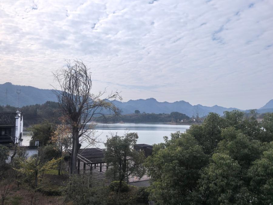 浙江省杭州市淳安县姜家镇文渊狮城124-4号房间照片5
