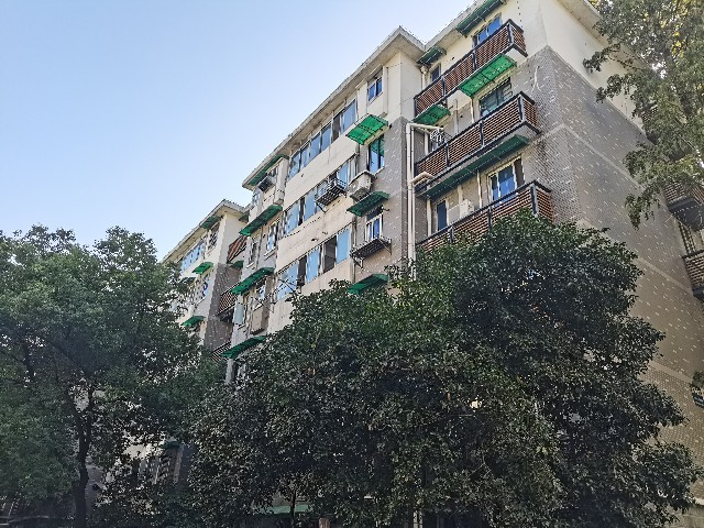 浙江省杭州市上城区杭州市上城区濮家新村5幢房间照片4