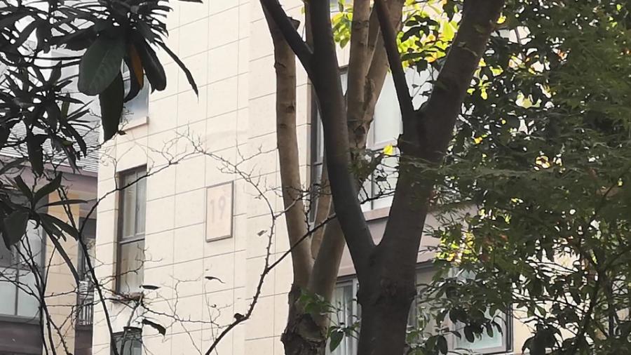 浙江省杭州市余杭区临平区乔司街道华章名苑19幢2单元401室房间照片3