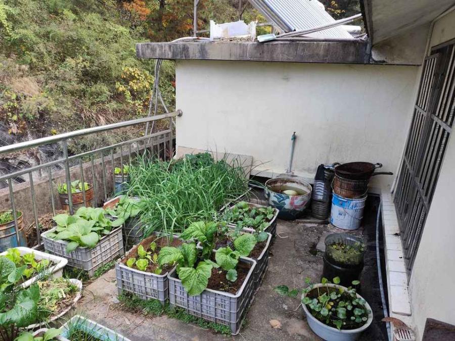 浙江省杭州市淳安县千岛湖镇新安北路70号5602室房间照片2