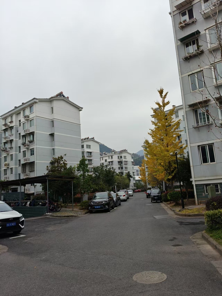 浙江省杭州市淳安县千岛湖镇康盛花园23号3单元105室房间照片4