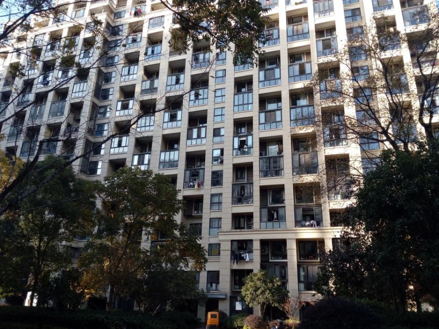 浙江省杭州市上城区杭州市上城区肖苑10幢1单元103室房产房间照片4