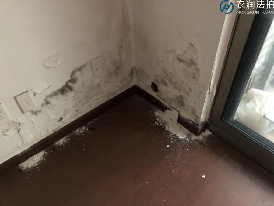 浙江省杭州市余杭区良渚镇逸居城逸情苑18幢3单元402室的房产房间照片6