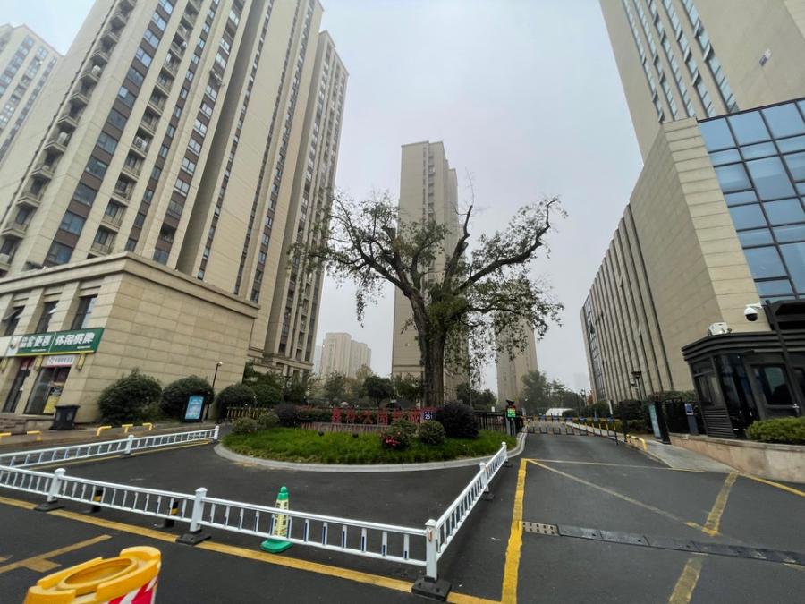 浙江省杭州市临安区杭州市临安区青山湖街道大园新城12（12幢1702）房产房间照片3